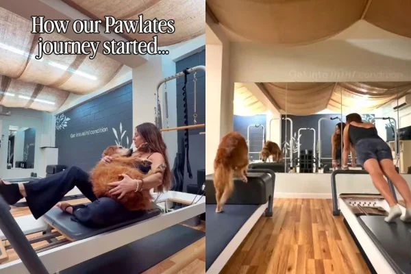 golden do pilates