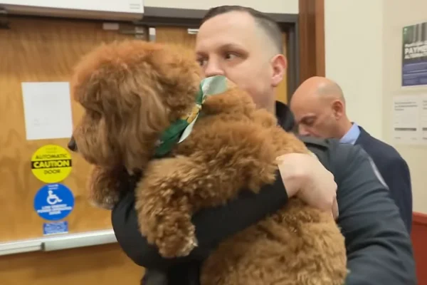 Policial segurando cachorro sumido