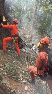 Helicóptero cai em área de mata no Rio e deixa ao menos 4 mortos - imagem 2 Helicóptero cai em área de mata no Rio e deixa ao menos 4 mortos - imagem 2