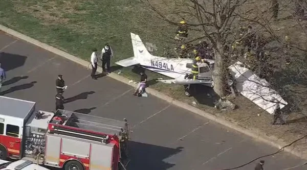 Imagem colorida de avião que atingiu árvore após cair - Metrópoles