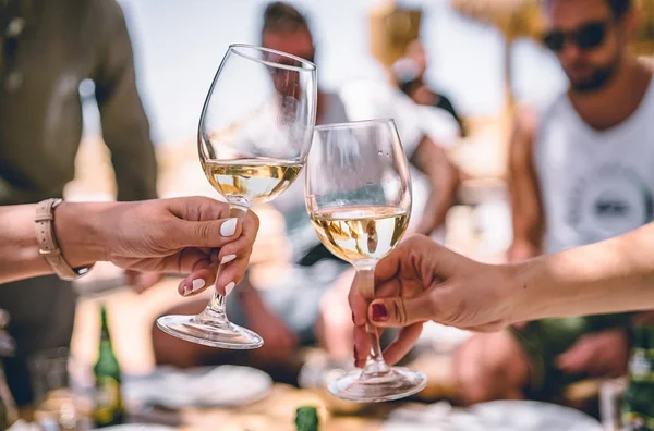 Adega cheia! Oito vinhos internacionais por até R$ 35