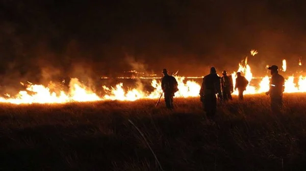 Universal Diner recolhe doações para ajudar a combater fogo na Chapada