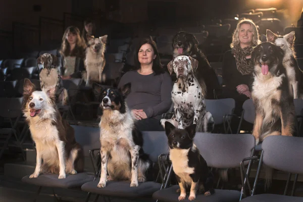 Cachorros e pessoas em cinema