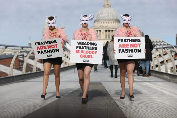 Manifestantes do grupo de direitos dos animais PETA usam a Millennium Bridge em Londres como sua passarela para protestar contra o uso de penas antes da London Fashion Week