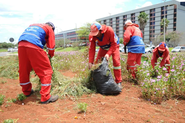 DF faz mutirão de limpeza para combater Aedes aegypti em quatro regiões