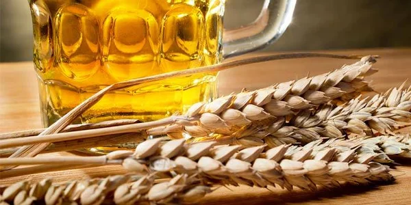 Cervejas de trigo têm muita história e várias receitas mundo afora