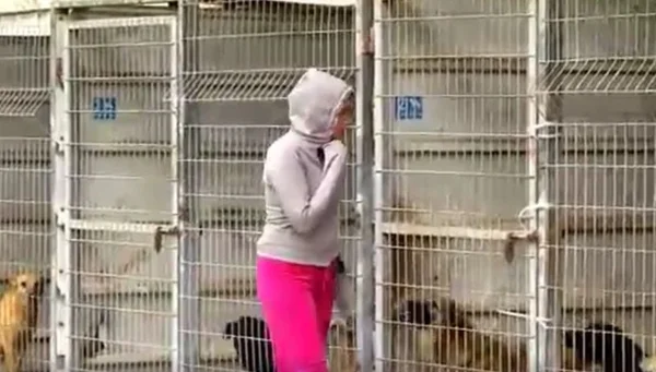 Mulher não consegue escolher qual cão adotar e leva o abrigo inteiro
