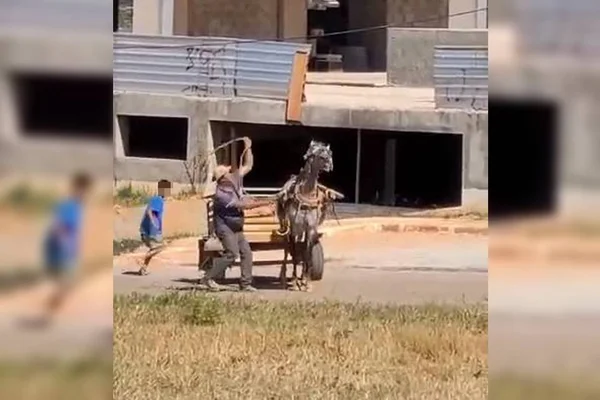 Carroceiro espanca cavalo com chicote - Metrópoles