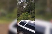 O acusado pela morte de Sarah confessou o crime aos policiais nesta sexta-feira (15/8)
