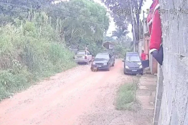 Uma câmera de segurança flagrou o momento em que o cachorro foi atropelado. O motorista foi preso pela Guarda Municipal de Jundiaí - Metrópoles