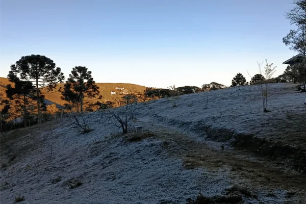 Imagem colorida de gramado congelado em Campos do Jordão, no interior de São Paulo; cidade registrou novo recorde de frio de 2026 - Metrópoles