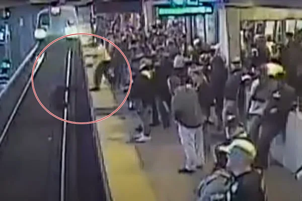 Vídeo. Homem escapa da morte após cair em trilhos de trem