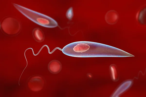 Infecção causada por novo parasita assusta cientistas brasileiros