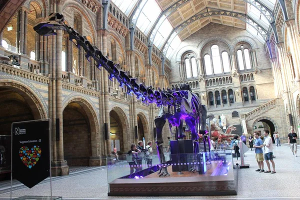 Após 112 anos, dinossauro deixa o Museu de História Natural de Londres