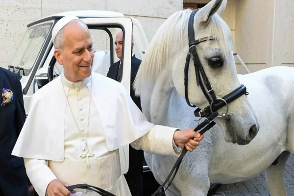 Papa Leão XIV ganha cavalo de raça árabe. Vídeo