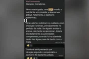 O animal sofreu ferimentos no rosto, levou 32 pontos na cabeça, perdeu parte da gengiva e teve parte das funções do lado esquerdo da face paralisados O animal sofreu ferimentos no rosto, levou 32 pontos na cabeça, perdeu parte da gengiva e teve parte das funções do lado esquerdo da face paralisados