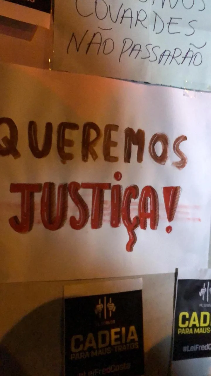 ONG precisou recorrer à Justiça para reaver o animal ONG precisou recorrer à Justiça para reaver o animal