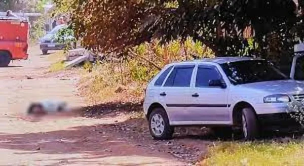 Fotografia colorida de cena onde homem foi encontrado morto após ser picado por um enxame de abelhas