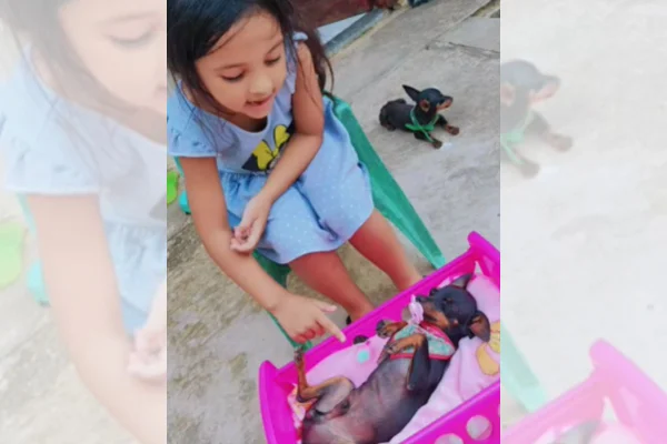 Foto colorida de uma menina com pinscher - Metrópoles