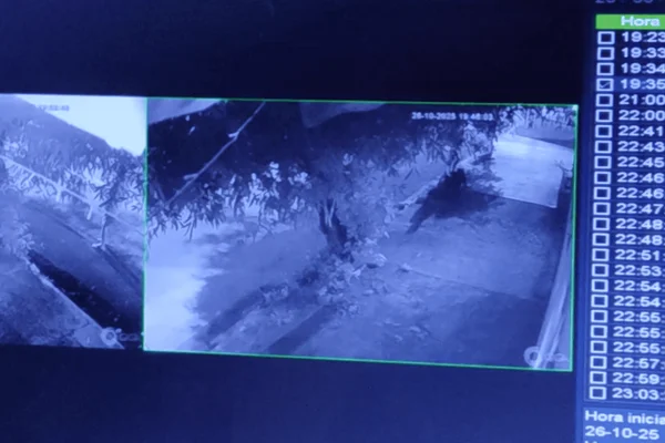 Imagem em preto e branco de um pai agredindo a própria filha em uma calçada - Metrópoles