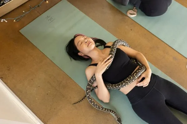 Snake yoga: aula relaxante com cobras viraliza nas redes sociais