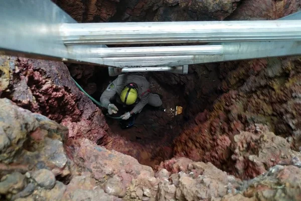 Entorno: bombeiros resgatam filhotes de cães que caíram em fossa
