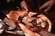 Foie gras proibido no Brasil Foie gras proibido no Brasil