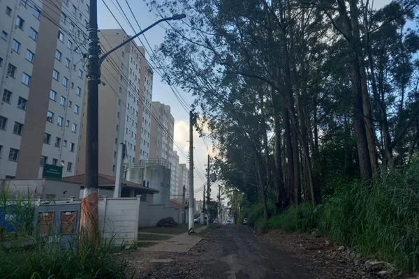 Imagem mostra rua ao lado de mata - Metrópoles