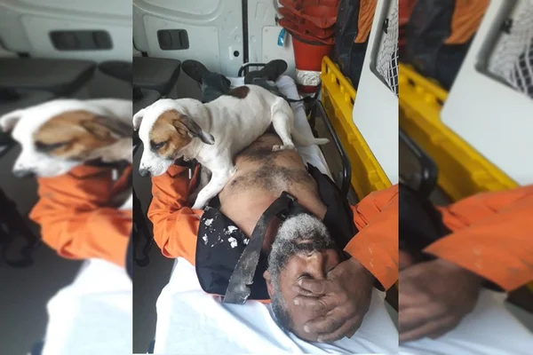 Cachorro não abandona dono atropelado durante socorro do Samu. Vídeos