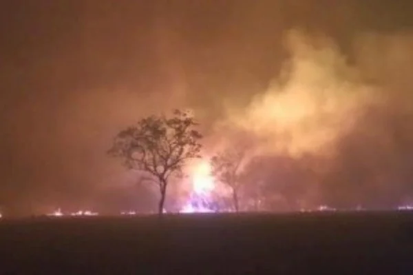 MPF acusa Energisa por incêndio no Cerrado em ano recorde de queimadas - destaque galeria