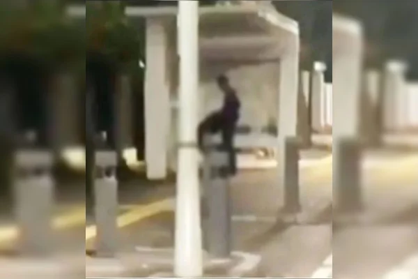 Casal faz sexo enquanto espera por ônibus e vídeo chega à polícia