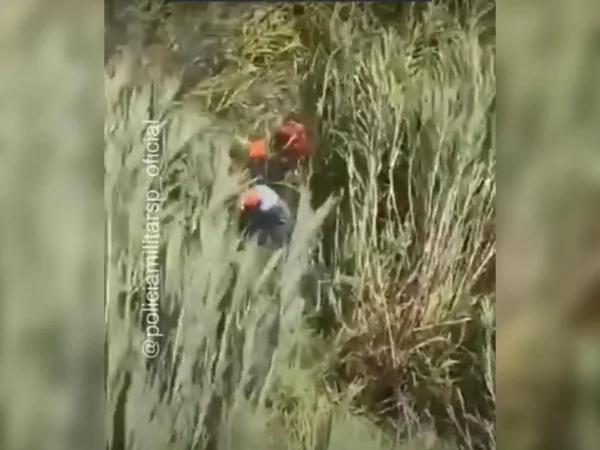 Homem com Alzheimer é resgatado de mata em Jacareí