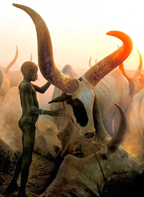 Ensaio fotográfico mostra o cotidiano do povo Dinka, que vive em tribo do Sudão