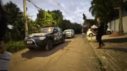 Ex-secretária de Bem-Estar Animal é presa por “eutanásia via Pix” - imagem 2 Ex-secretária de Bem-Estar Animal é presa por “eutanásia via Pix” - imagem 2