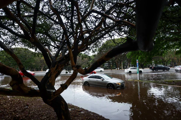 As fortes chuvas que atingem o Distrito Federal nesta quarta-feira (16/10) já causaram alagamentos na Asa Norte e queda de uma árvore na região do Incra 08. De acordo com o Instituto Nacional de Meteorologia (Inmet), a capital está sob alerta amarelo, com previsão de chuvas intensas e ventos de até 60 km/h, válido até às 10h desta quinta-feira (17/10).