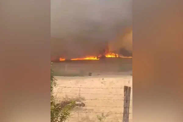 Homem desaparece durante incêndio em Neves Paulista, no interior de SP