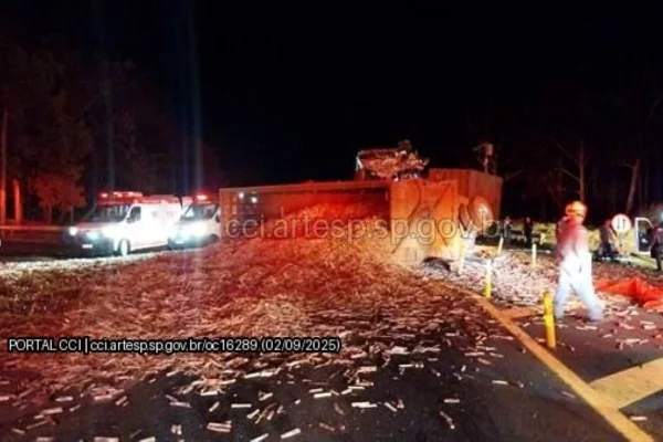 Acidente entre ônibus e caminhão deixa 1 morto e 14 feridos na SP-334