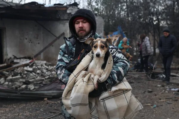 Imagem colorida mostra voluntário com cão em abrigo atingido por drones russos - Metrópoles