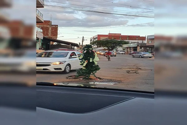 Em protesto, moradores instalam árvore de Natal em buraco de Vicente Pires