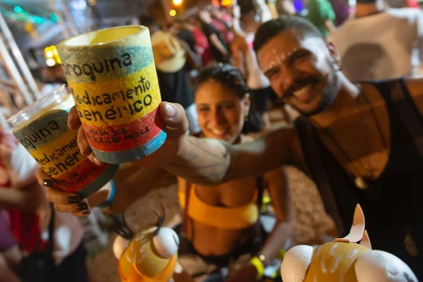 Blocos animam terceiro dia de Carnaval no DF: veja fotos da folia
