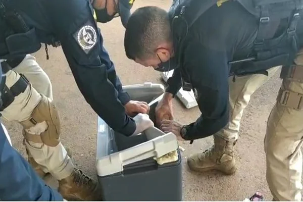 PRF apreende R$ 500 mil em cocaína na BR-060 em Goiás