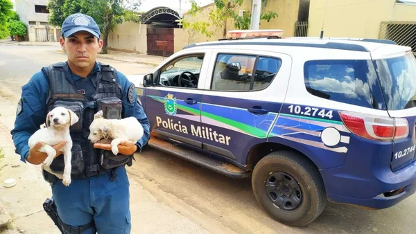 foto colorida de policial na frente de viatura segurando dois filhotes de cachorro no colo