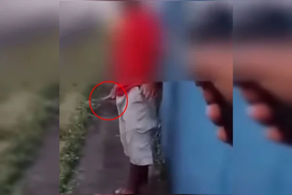 Homem invade escola para matar professor em GO