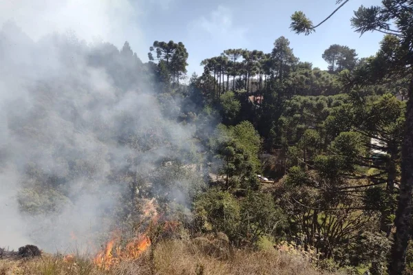 Frente fria deve aliviar incêndios em SP. Ribeirão Preto cancela aulas