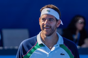 Juan Martín del Potro venceu o US Open de 2009 após vencer Roger Federer