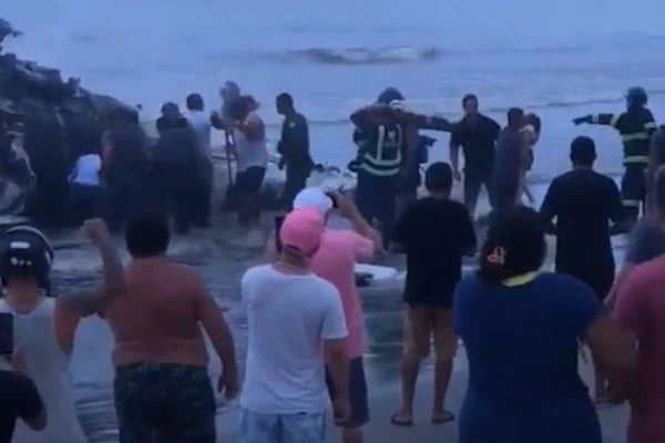 Avião está destruído na beira do mar; diversas pessoas cercam o local - Metrópoles