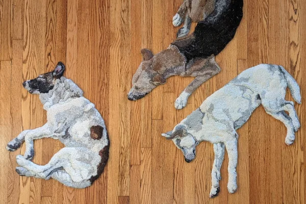 emily oleary Tapetes realistas que imitam cães geram críticas a designer emily oleary - metrópoles