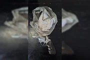PCGO apreende drogas escondidas dentro de solas de galochas em operação - imagem 3 PCGO apreende drogas escondidas dentro de solas de galochas em operação - imagem 3