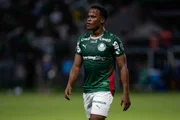 Palmeiras segue na busca pelo título do Brasileirão.