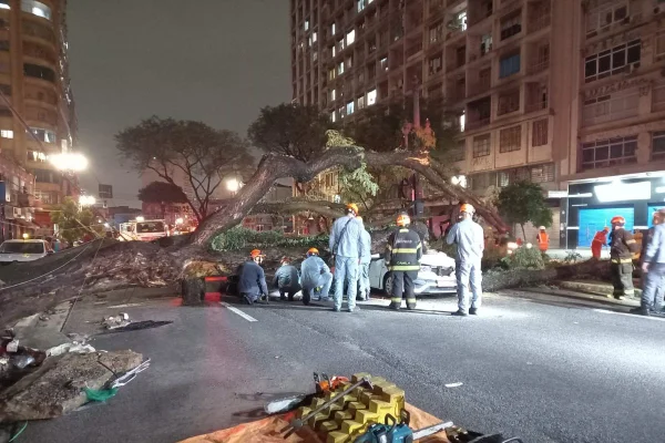 Imagem colorida mostra taxi embaixo de árvore na Avenida Senador Queirós, no centro de São Paulo - Metrópoles